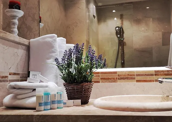 阿波罗尼亚度假公寓式酒店 索佐波尔